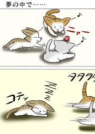 ミーのおもちゃ箱４１９話