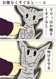 ミーのおもちゃ箱４３１話
