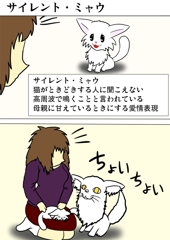 ミーのおもちゃ箱４３４話