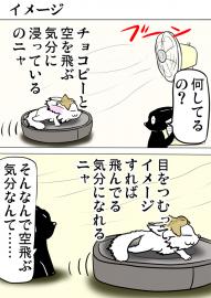 ミーのおもちゃ箱４３９話