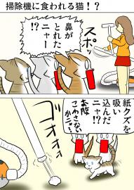 ミーのおもちゃ箱４４５話