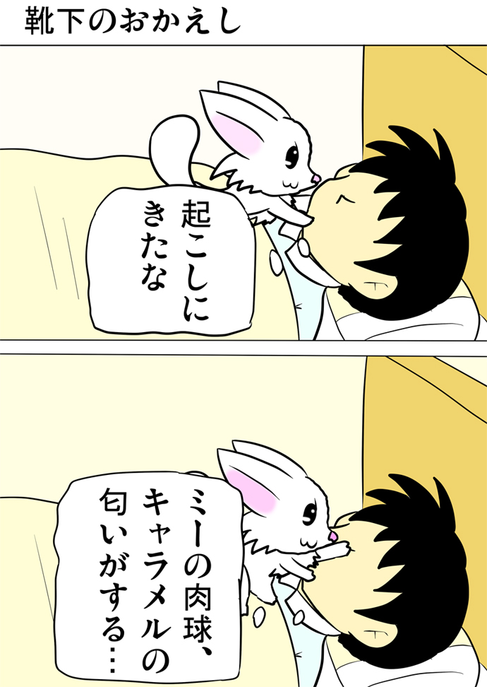 ミーのおもちゃ箱４５５話
