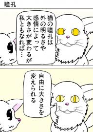 ミーのおもちゃ箱４５８話