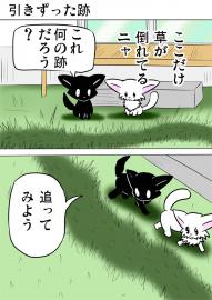 ミーのおもちゃ箱４６１話
