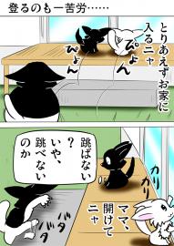 ミーのおもちゃ箱４６２話