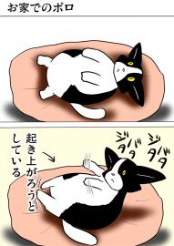 ミーのおもちゃ箱４６４話