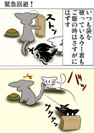ミーのおもちゃ箱４７８話