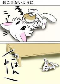 ミーのおもちゃ箱４７９話