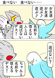 ミーのおもちゃ箱４８４話