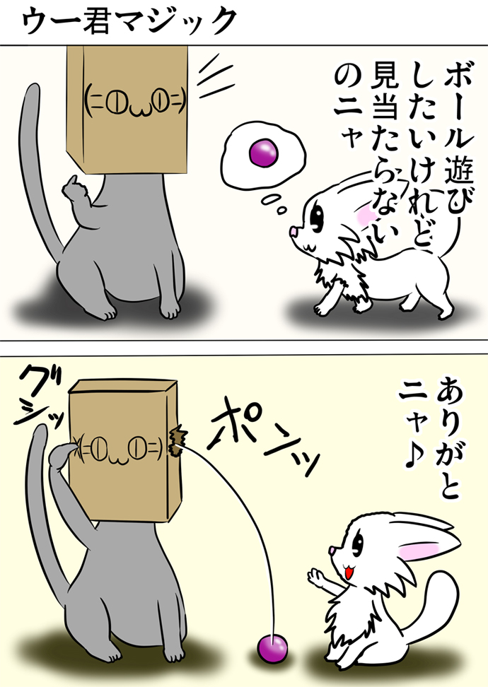ミーのおもちゃ箱４８７話