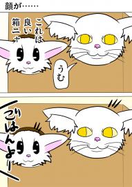 ミーのおもちゃ箱４９７話