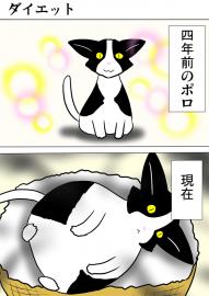 ミーのおもちゃ箱４９９話