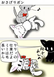 ミーのおもちゃ箱５０５話