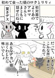 ミーのおもちゃ箱745話～第750話