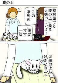 ミーのおもちゃ箱764話～第769話