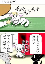 ミーのおもちゃ箱800話～第806話