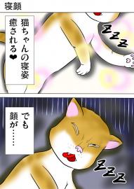 ミーのおもちゃ箱842話～第848話