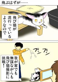 ミーのおもちゃ箱897話～第902話