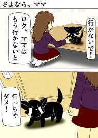 ミーのおもちゃ箱981話～第986話