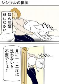 ミーのおもちゃ箱 第1041話～第1046話