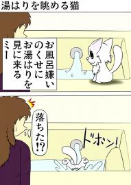 ミーのおもちゃ箱 第1413話～第1416話
