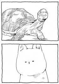 「亀に乗る」１