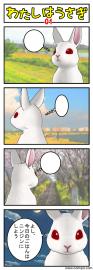 うさぎはうさぎ