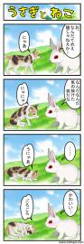 うさぎとねこ