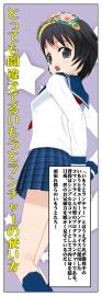 かなり間違ったいもうとランチャーの使い方