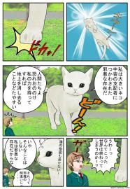 大きいねこ