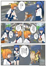友達のイヌ