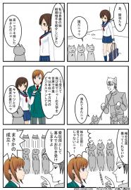キャッツと妹と修羅場の予感