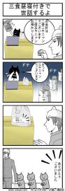 三食昼寝付きで世話するよ